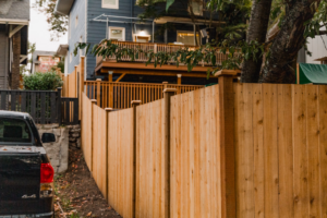 cedar wood fence in backyard