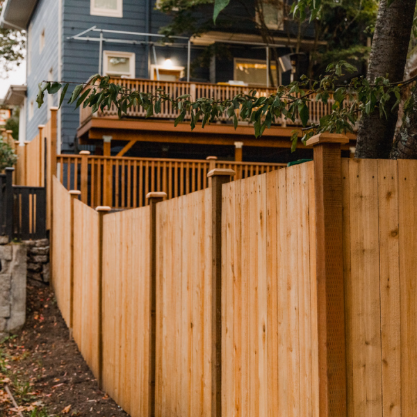 cedar wood fence in backyard